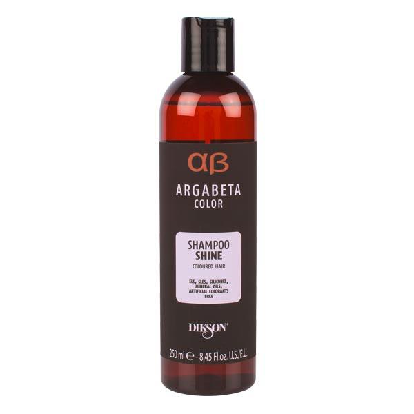 Champú Color Shine Argabeta 250 ml – champú profesional con aceite de argán para proteger el color del cabello teñido